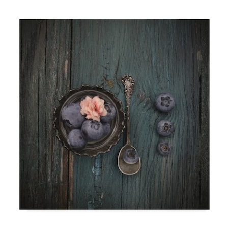 Christine Sainte-Laudy 'Pretty Blueberry' Canvas Art,14x14